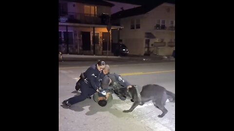 ICE AGENTS CAPTURE🏃🦮👲📸ILLEGAL MIGRANT IN LOS ANGELES👮‍♂️🚓💫