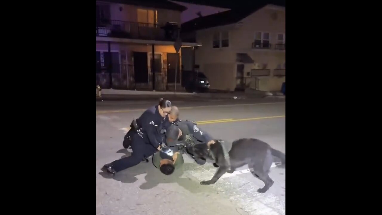 ICE AGENTS CAPTURE🏃🦮👲📸ILLEGAL MIGRANT IN LOS ANGELES👮‍♂️🚓💫
