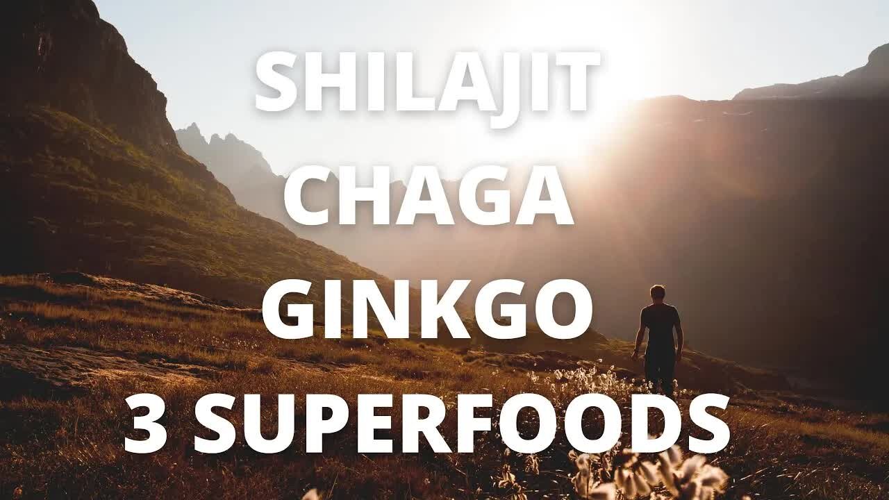 🍄 Chaga菇、Shilajit、銀杏的驚人好處!💪✨ 提升免疫力、增強腦力,探索自然奇蹟🌿🧠