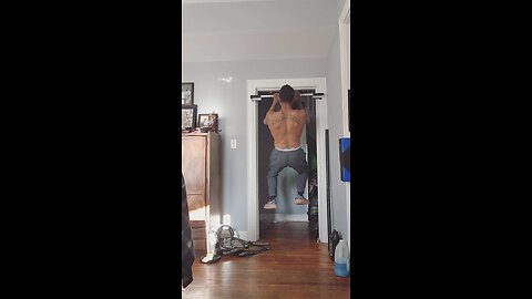 Van's total fitness