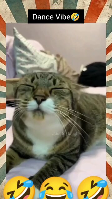 "Funniest Animal Scare Reactions Caught on Camera! 📸🐱"