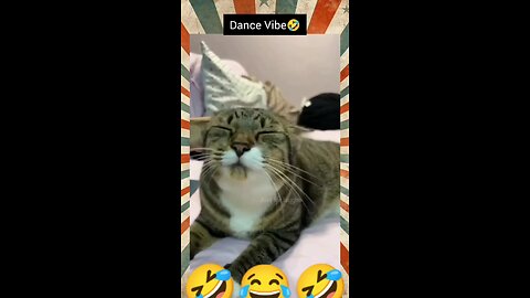 "Funniest Animal Scare Reactions Caught on Camera! 📸🐱"