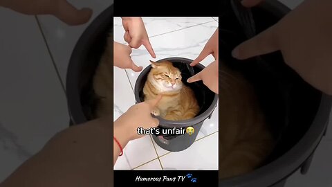 Hilarious Pet Adventures! 🐾😂