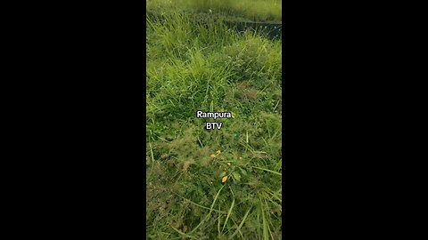 Rampura, in front of BTV...