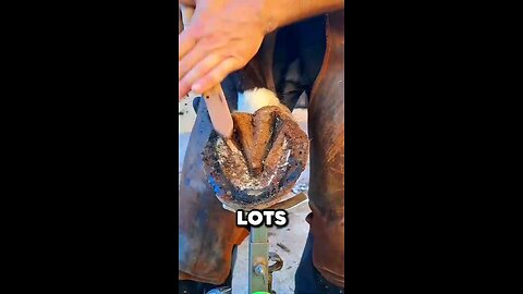 This horse can lose his leg #explore #artist #art #talent #artoftheday #artlover #facts