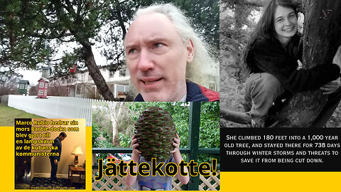 Google AI, CCP AI & tjuv-xAI. Beskydda 🇫🇷bönderna! Israel vs Syria. CIA:s Fredspris. Bye Bongino!