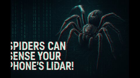 Why Spiders React to Your Phone's Lidar