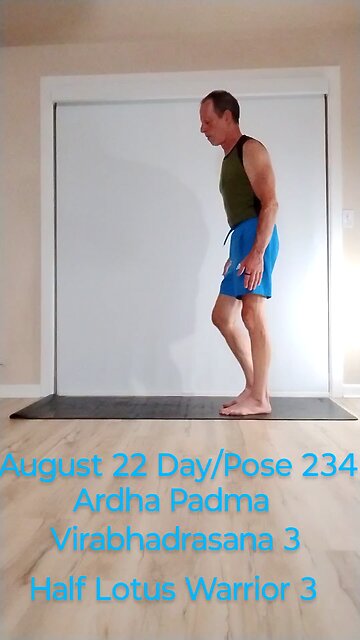 Ardha Padma Virabhadrasana 3 / Half Lotus Warrior 3