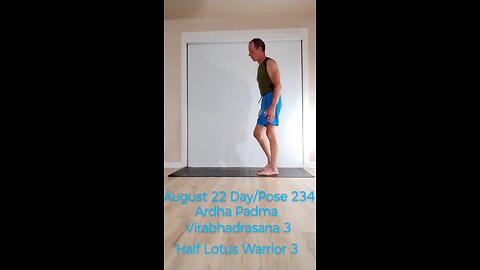 Ardha Padma Virabhadrasana 3 / Half Lotus Warrior 3