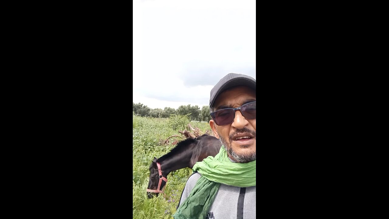 Free speech worldwide