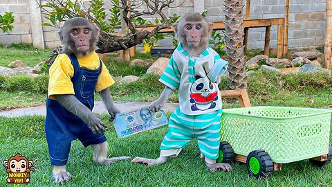 Monkey YiYi takes money for YinYin to buy corn when he is hungry