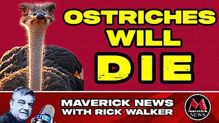 Ostriches in British Columbia Will DIE! : Government Ordered Cull Will Proceed