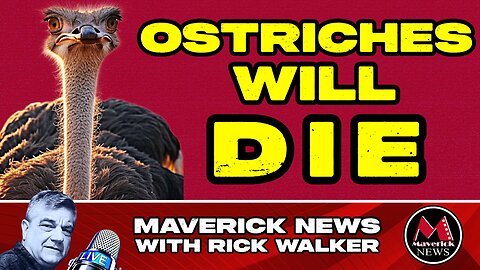 Ostriches in British Columbia Will DIE! : Government Ordered Cull Will Proceed