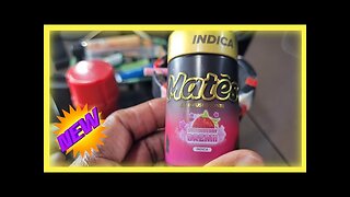 Strawberry Dream Mates Pre-Rolls at Dr Ganja
