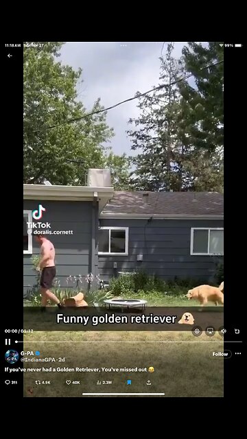 Just for fun, to laughs and smiles, especially for dog lovers 🐶🐾