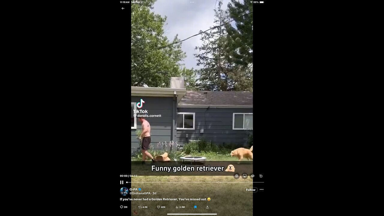 Just for fun, to laughs and smiles, especially for dog lovers 🐶🐾