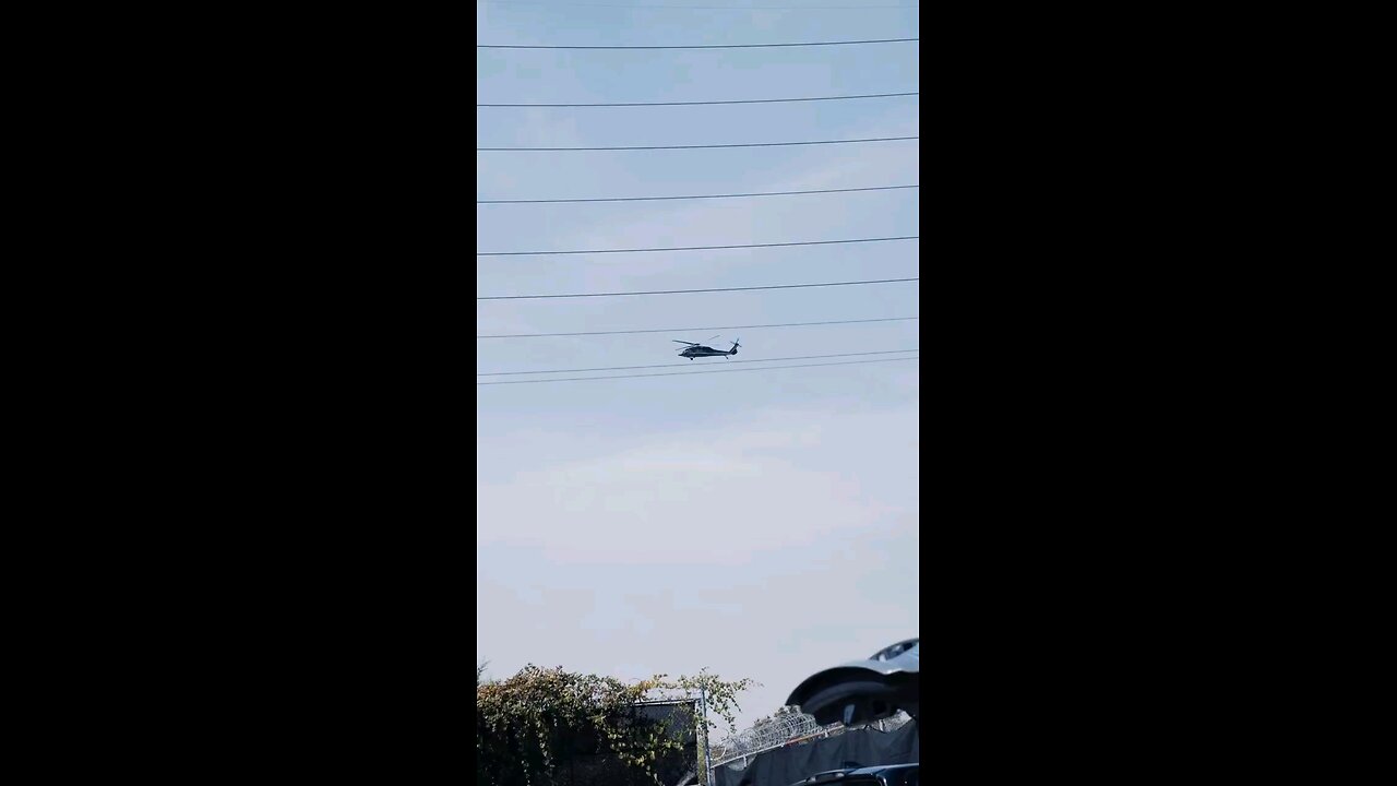 Border Control (I.C.E.)