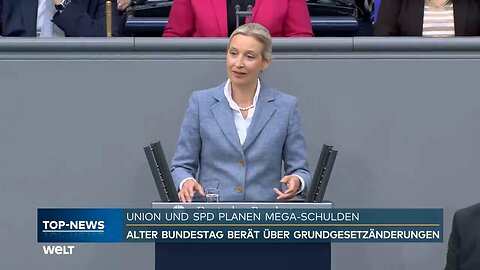 Brandrede von Alice Weidel