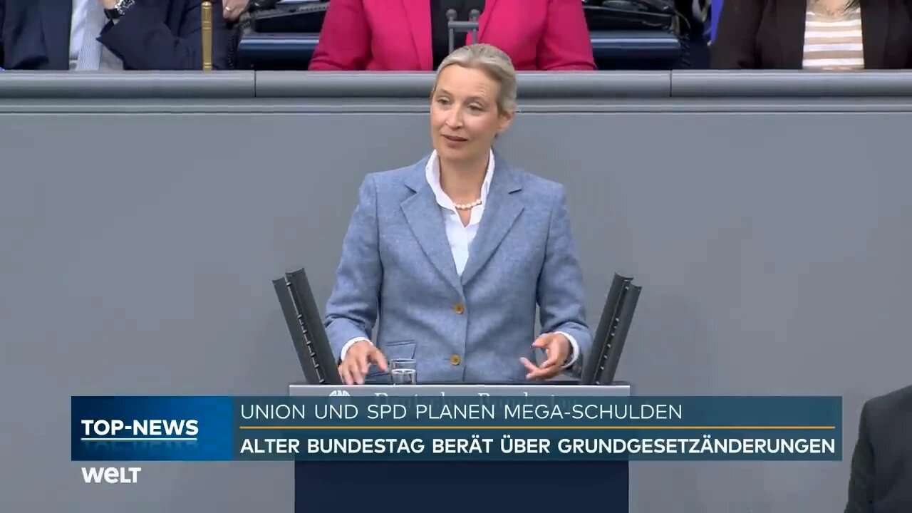 Brandrede von Alice Weidel