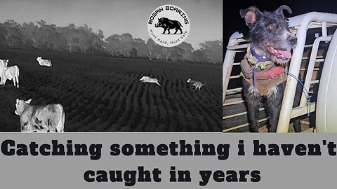 Catching something I haven't caught in years