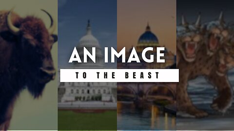 THE IMAGE OF THE BEAST