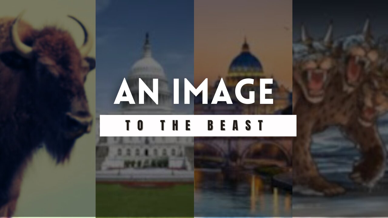 THE IMAGE OF THE BEAST