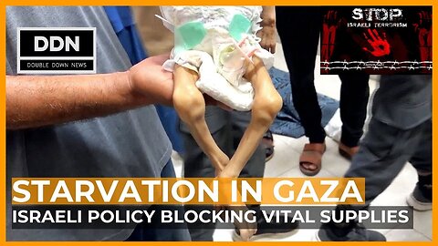 The REAL Reason Gaza is Starving