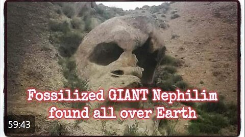 Hidden in Plain Sight - Hidden History of Mudfossils & Titans