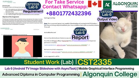 Client Work (lab) |CST2335 Lab 6 | Android TV Slideshow with AsyncTask | Algonquin College Canada