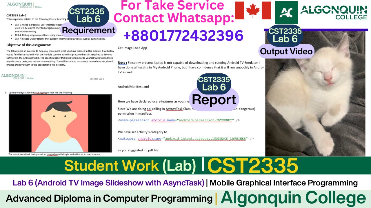 Client Work (lab) |CST2335 Lab 6 | Android TV Slideshow with AsyncTask | Algonquin College Canada