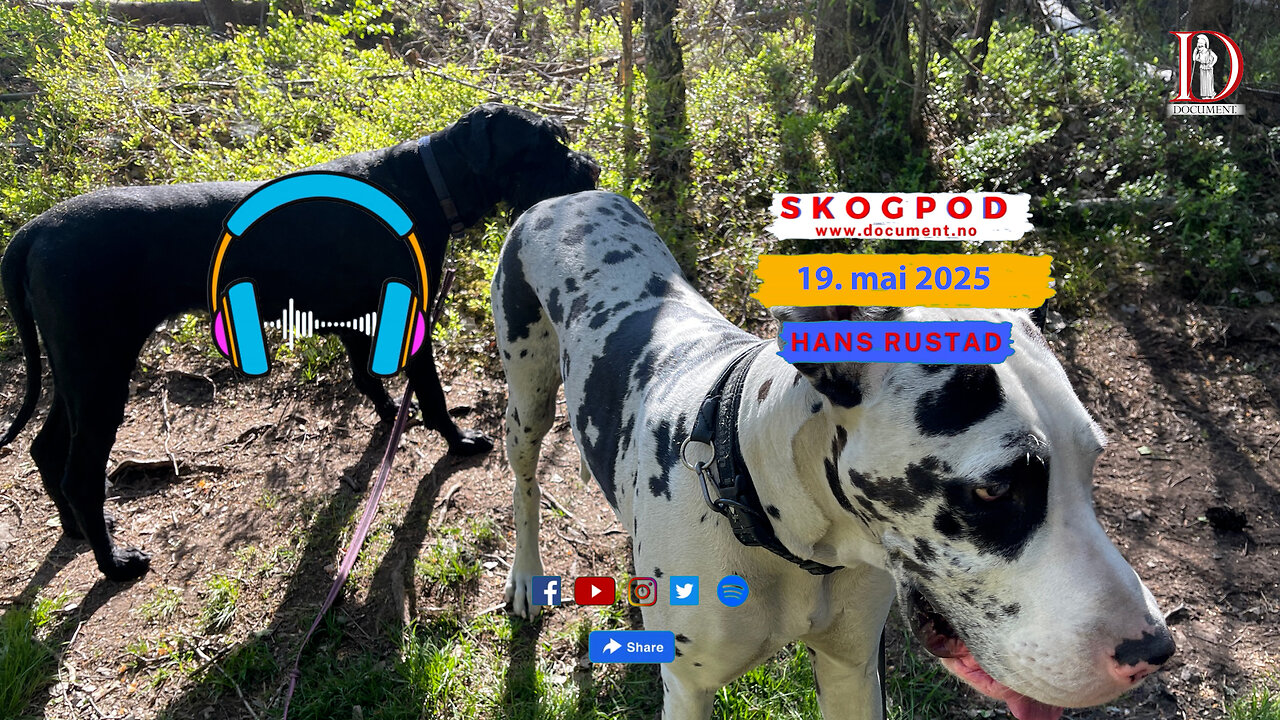 Skogpod 19. mai 2025