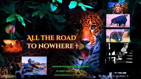 Road to Nowhere . Peacemaker . the dangers nature has to offer