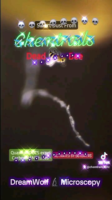 A I MICROtoxins are killingBEES from Chemtrailz 5Gtowers activate QuantumDots
