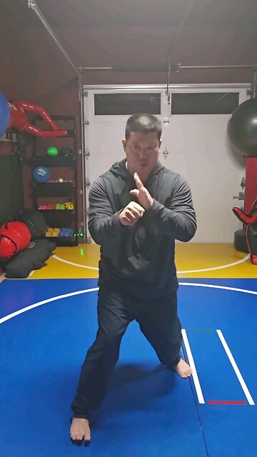 WTD Hand Combination T, Kickstance Set (Rank 1)