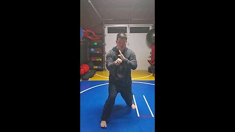 WTD Hand Combination T, Kickstance Set (Rank 1)