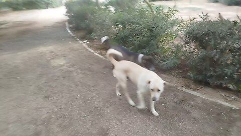 Best Country , ( Egypt ) Best Place