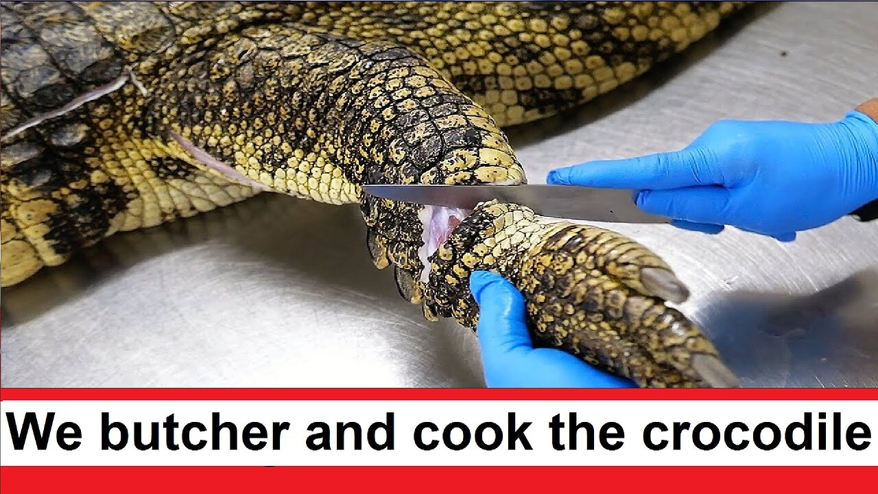 We cut the meat of a huge crocodile and cook delicious crocodile meat on the grill and in the oven