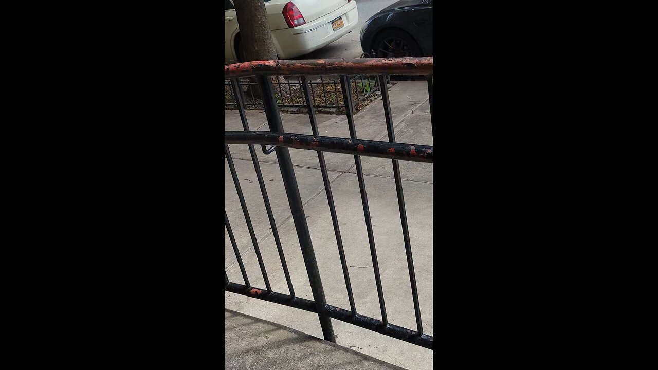 Negropeans, agents of the white supremacist state, NY Predators Dept officers engaging in stalking.