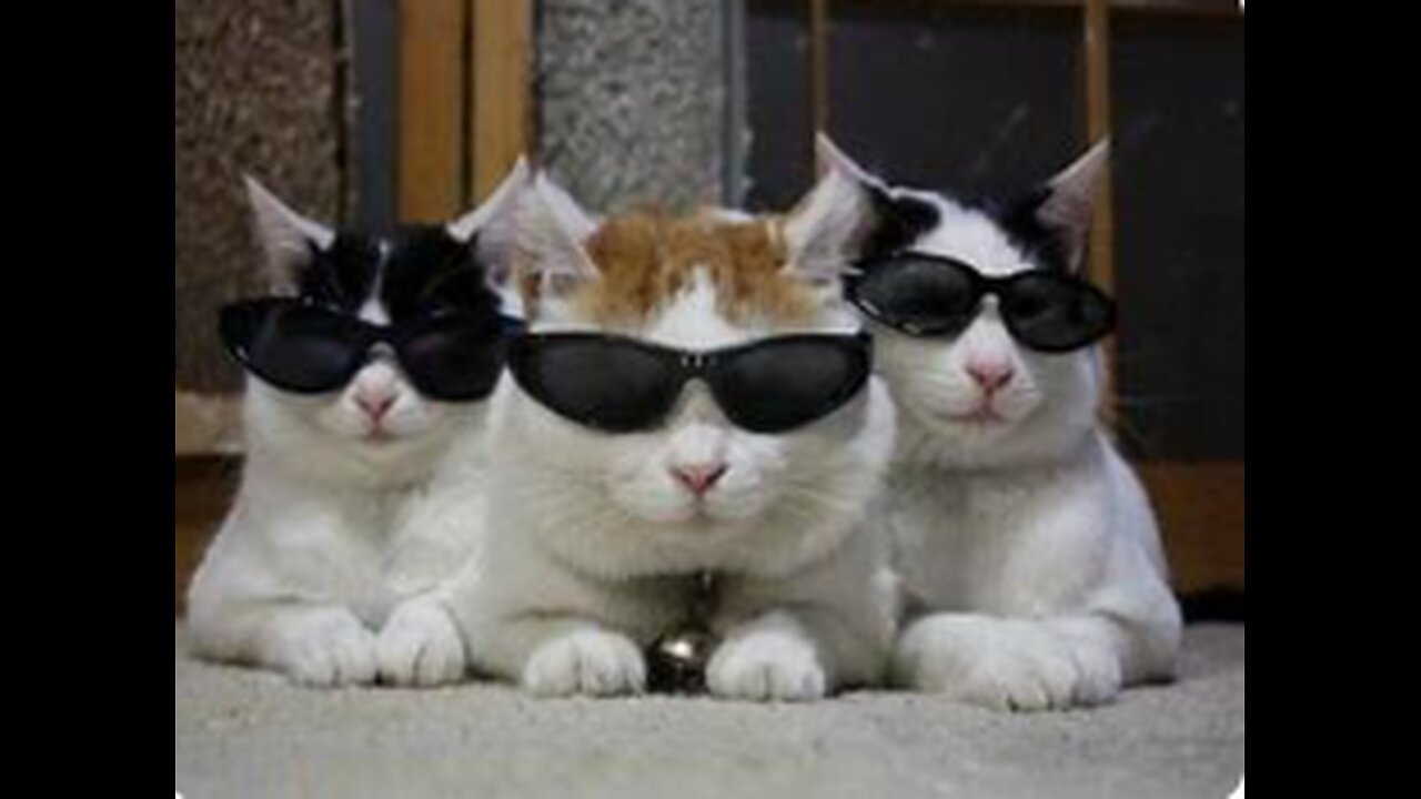 OVERWATCH 2 RANKED | Stadium | DPS Main | BEST AIM 🎯