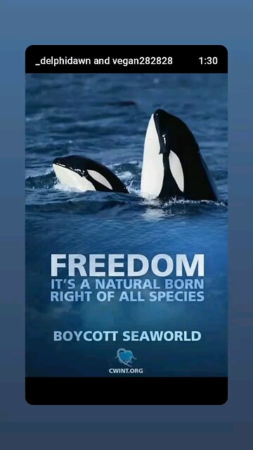 Freedom For All Species Is Linked To Our Own Survival 🫂