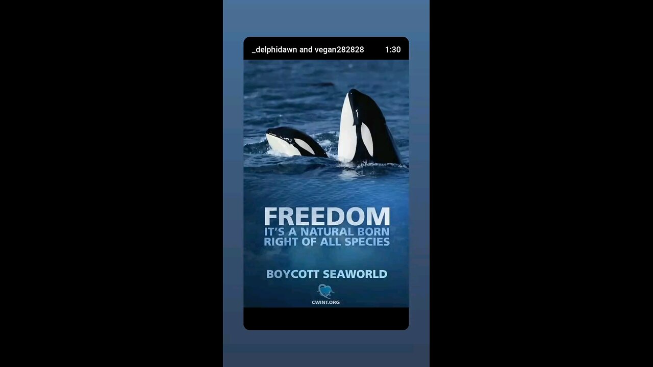 Freedom For All Species Is Linked To Our Own Survival 🫂