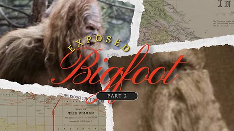 Bigfoot is a lie. Rare disease theory part 2