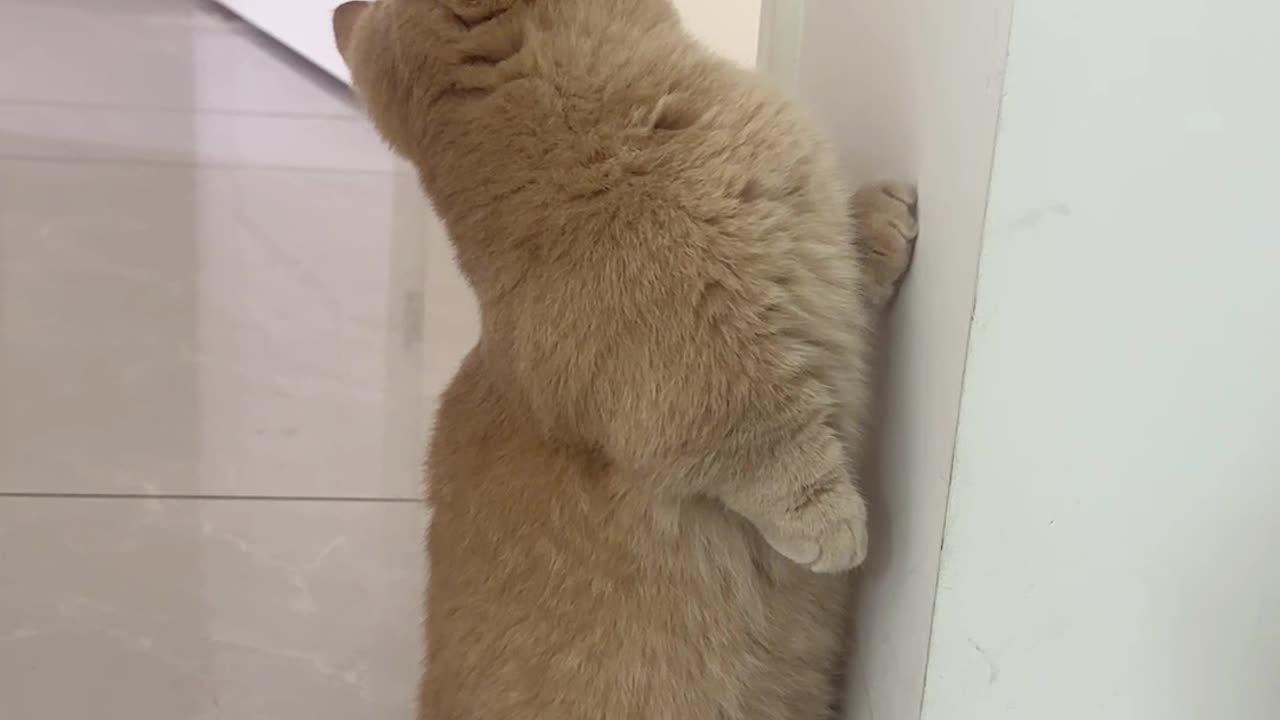 This feeling of stealing is too strong.