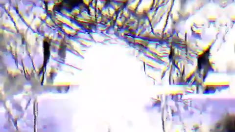 🛸💥 Ukraine Russia War | Ukrainian 'Nemesis' Drone Bombards Russian Position | RCF