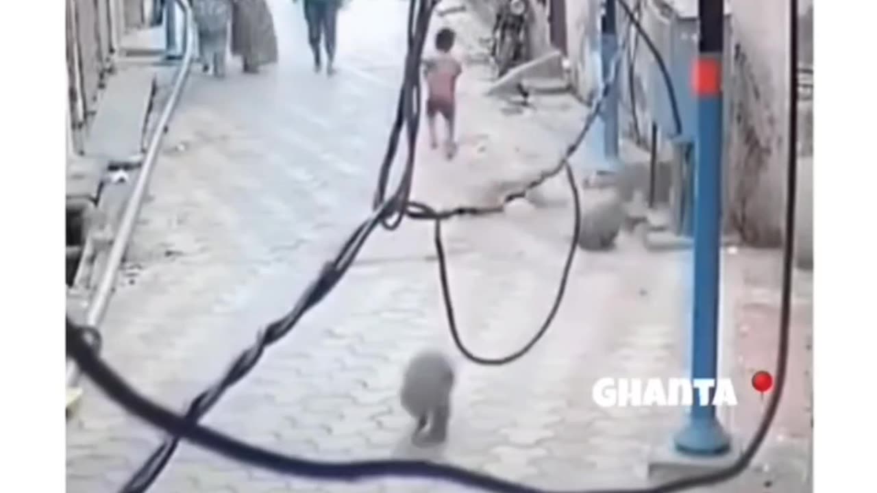 Hilarious Fails Compilation | Comedy Gold Guaranteed π»π