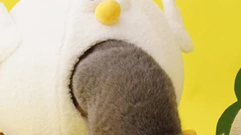 Cute Cat House with Rotating Turntable Toy
