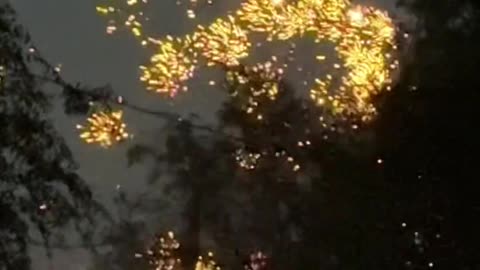 Firework