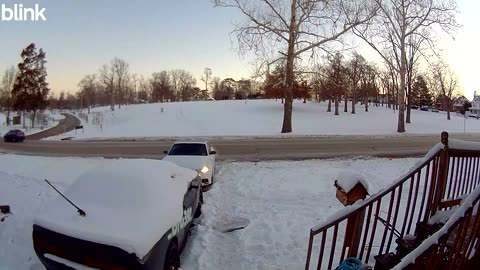 Bumper Is Staying Home Today