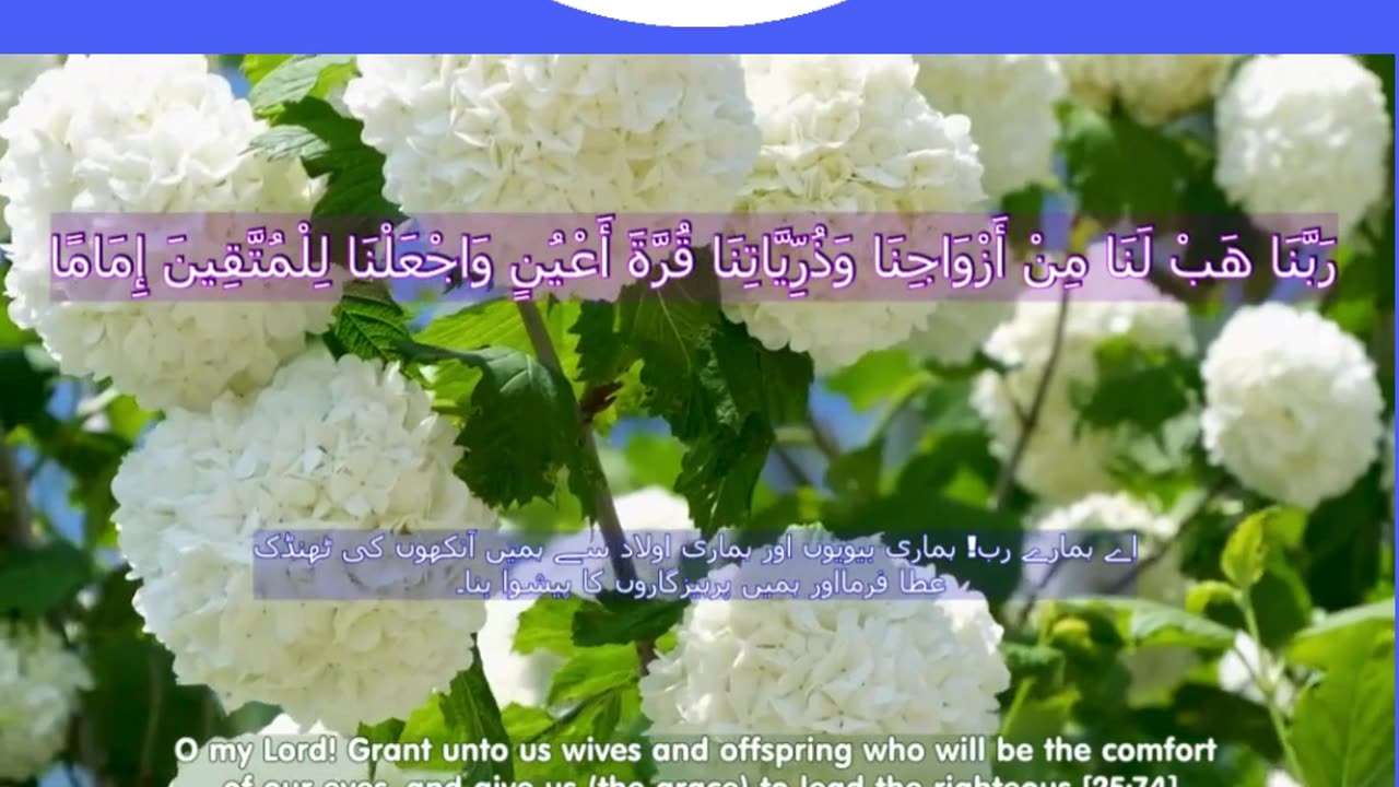 Top 40 Rabbana Duas Every Muslim Should Know (dua no 32) #shorts