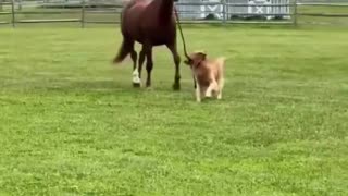 Woe Day 77. I am in the ark. Waiting for GOD to open the Door for a spring/summer Pentecost rapture